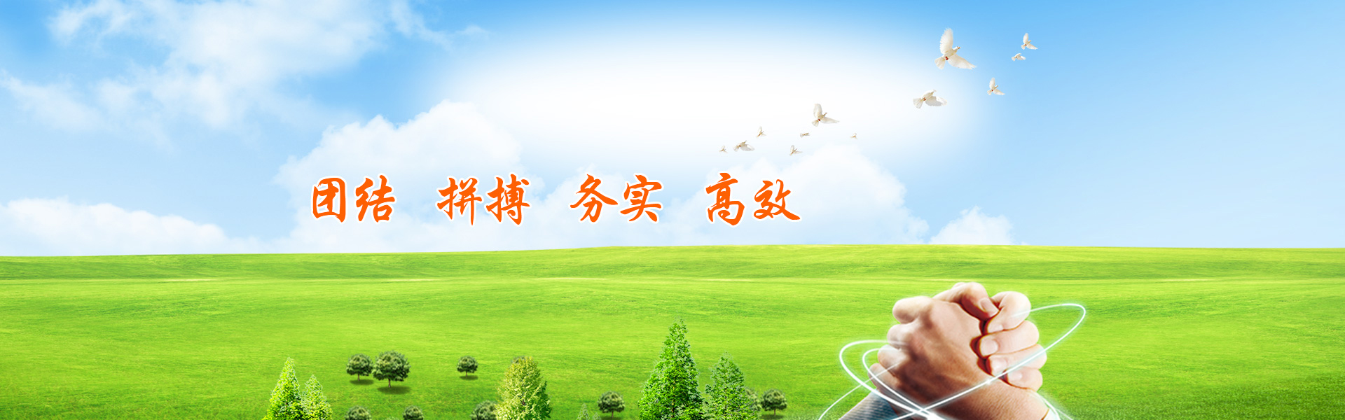 展覽圖片
